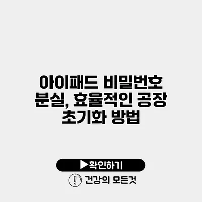 아이패드 비밀번호 분실, 효율적인 공장 초기화 방법