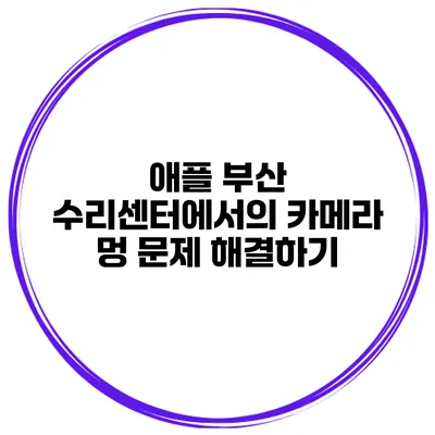 애플 부산 수리센터에서의 카메라 멍 문제 해결하기
