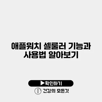 애플워치 셀룰러 기능과 사용법 알아보기