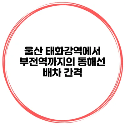 울산 태화강역에서 부전역까지의 동해선 배차 간격