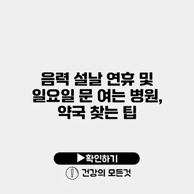 음력 설날 연휴 및 일요일 문 여는 병원, 약국 찾는 팁
