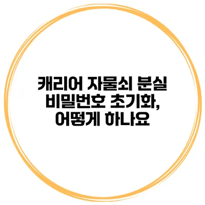 캐리어 자물쇠 분실 비밀번호 초기화, 어떻게 하나요?