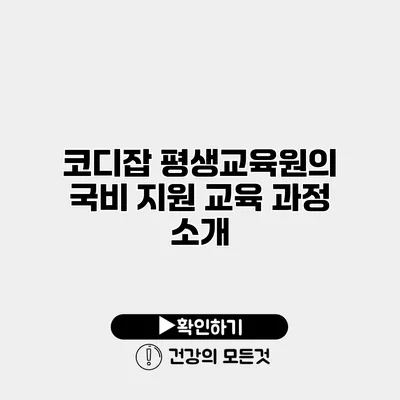 코디잡 평생교육원의 국비 지원 교육 과정 소개