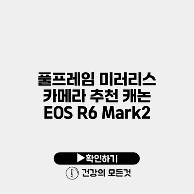 풀프레임 미러리스 카메라 추천 캐논 EOS R6 Mark2
