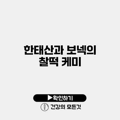 한태산과 보넥의 찰떡 케미